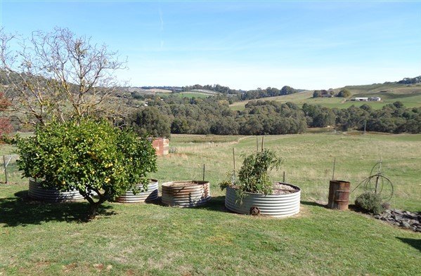 57 Cemetery Road BATLOW 7