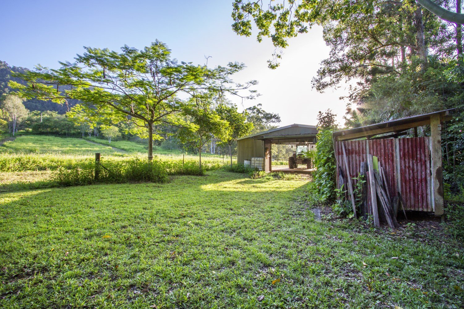 57 Forestry Road BRANDY CREEK 3