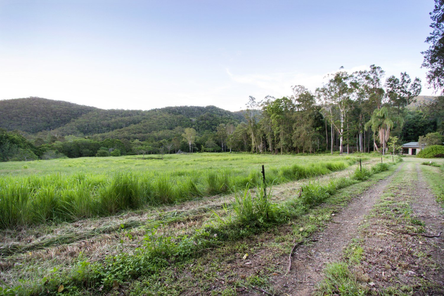 57 Forestry Road BRANDY CREEK 10