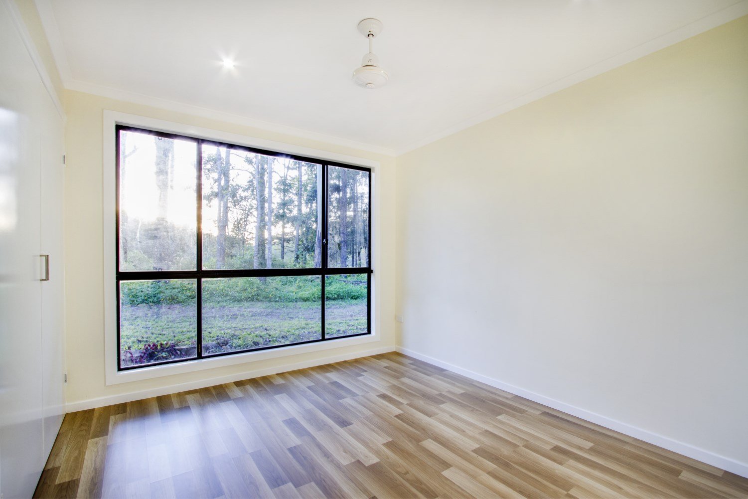 57 Forestry Road BRANDY CREEK 12