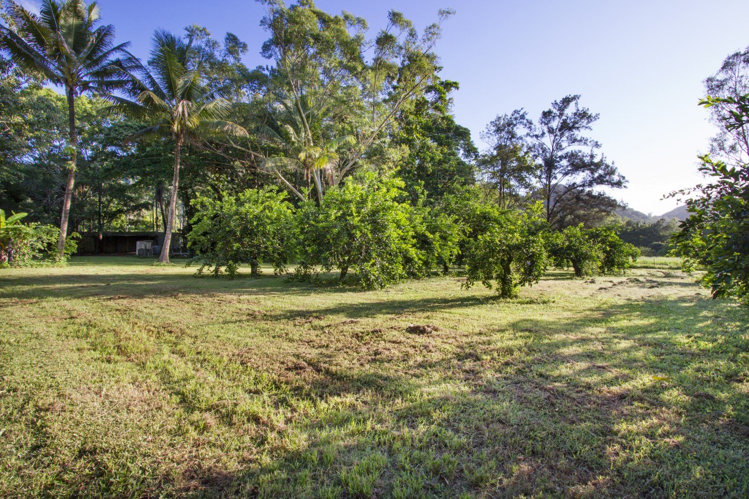 57 Forestry Road BRANDY CREEK 18