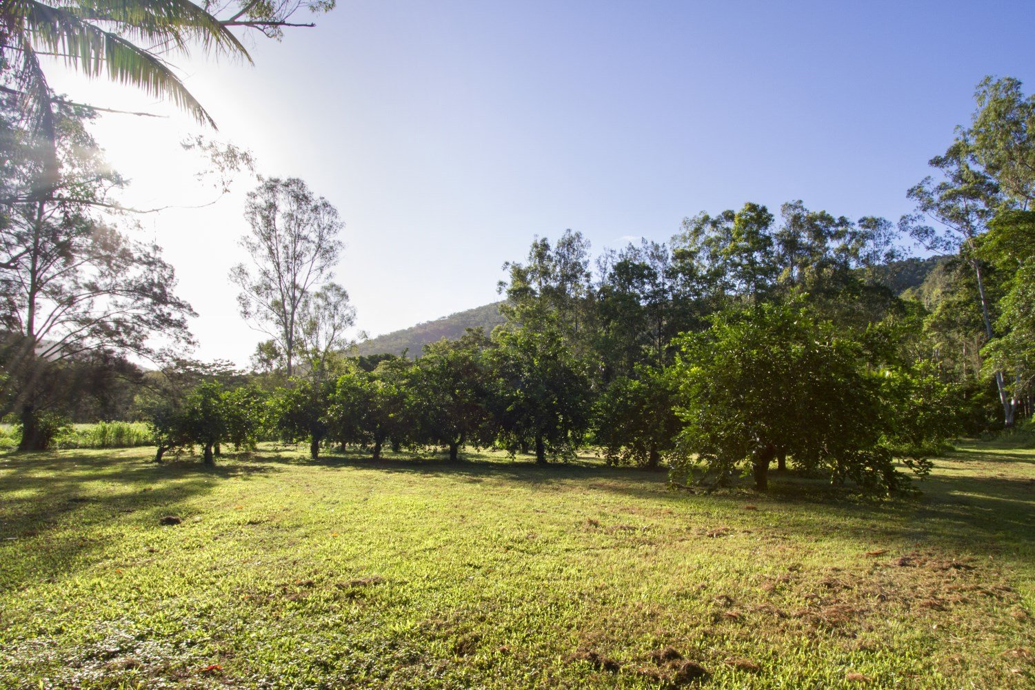 57 Forestry Road BRANDY CREEK 19