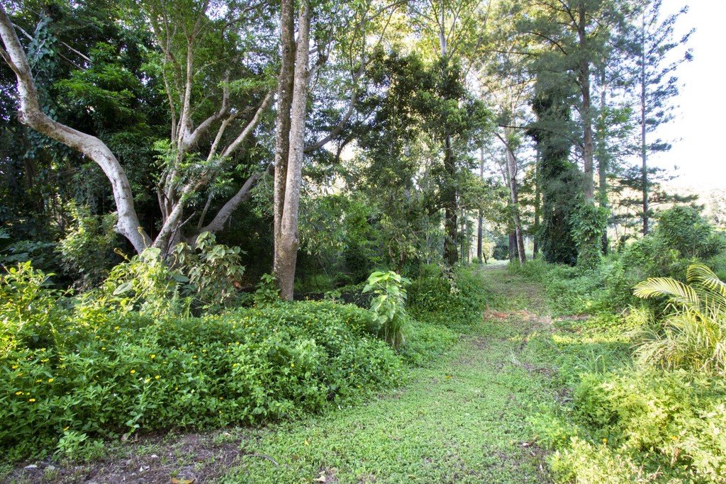 57 Forestry Road BRANDY CREEK 20