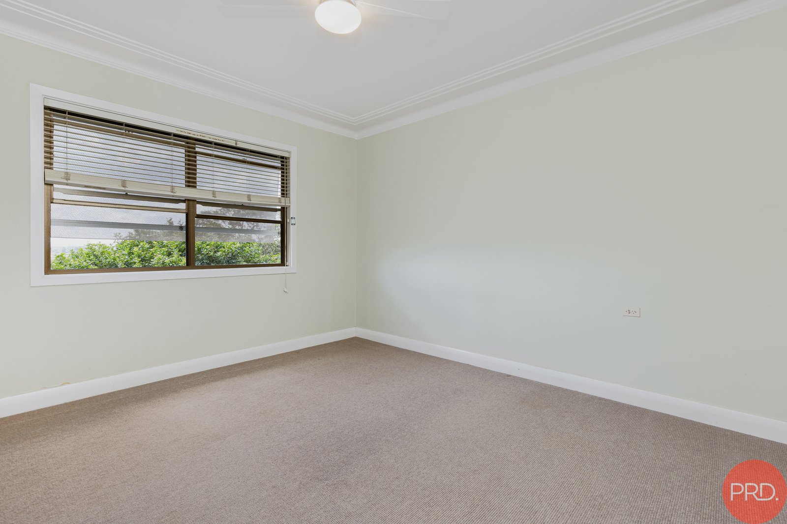 57 Morpeth Road EAST MAITLAND 15