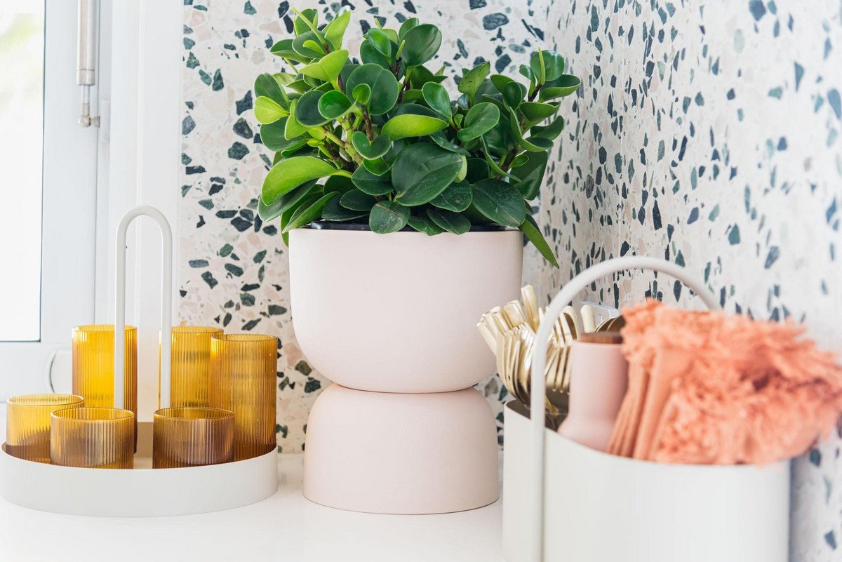 57 Nobby Parade Miami 3