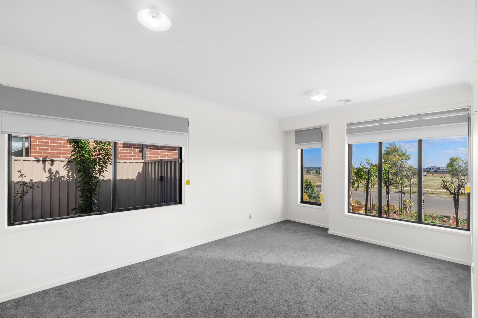 Gallery: 57 Spoonbill Avenue