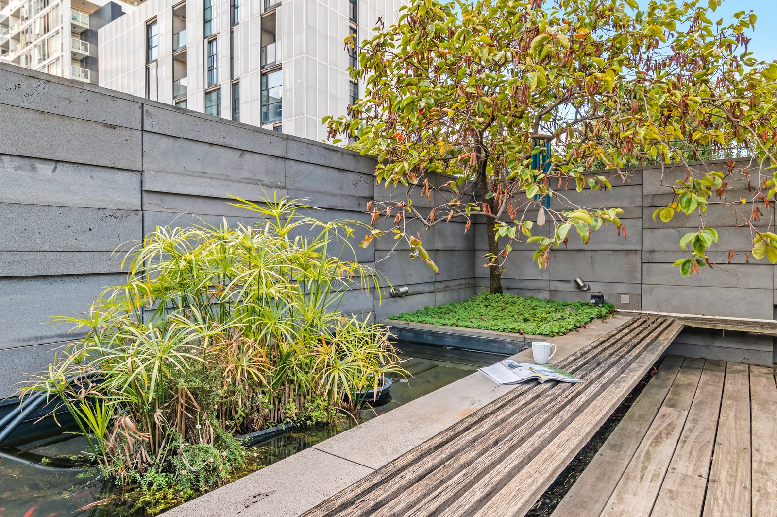 Real Estate and Property in 57 Tivoli Road Road, South Yarra, VIC