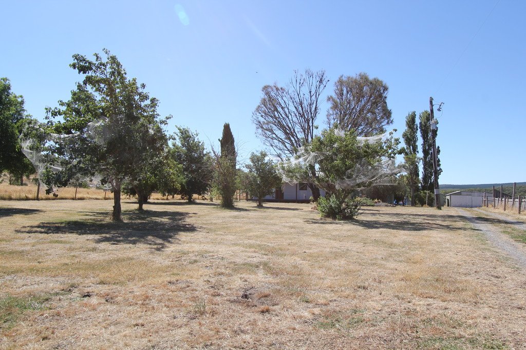 571 Linton-Piggoreet Road HAPPY VALLEY 20