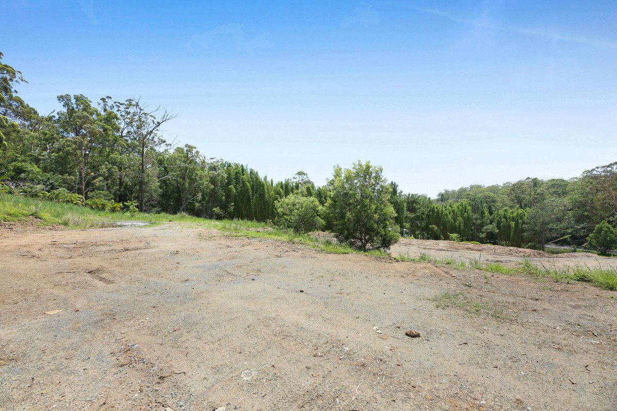 572 Tallebudgera Creek Road TALLEBUDGERA VALLEY 1