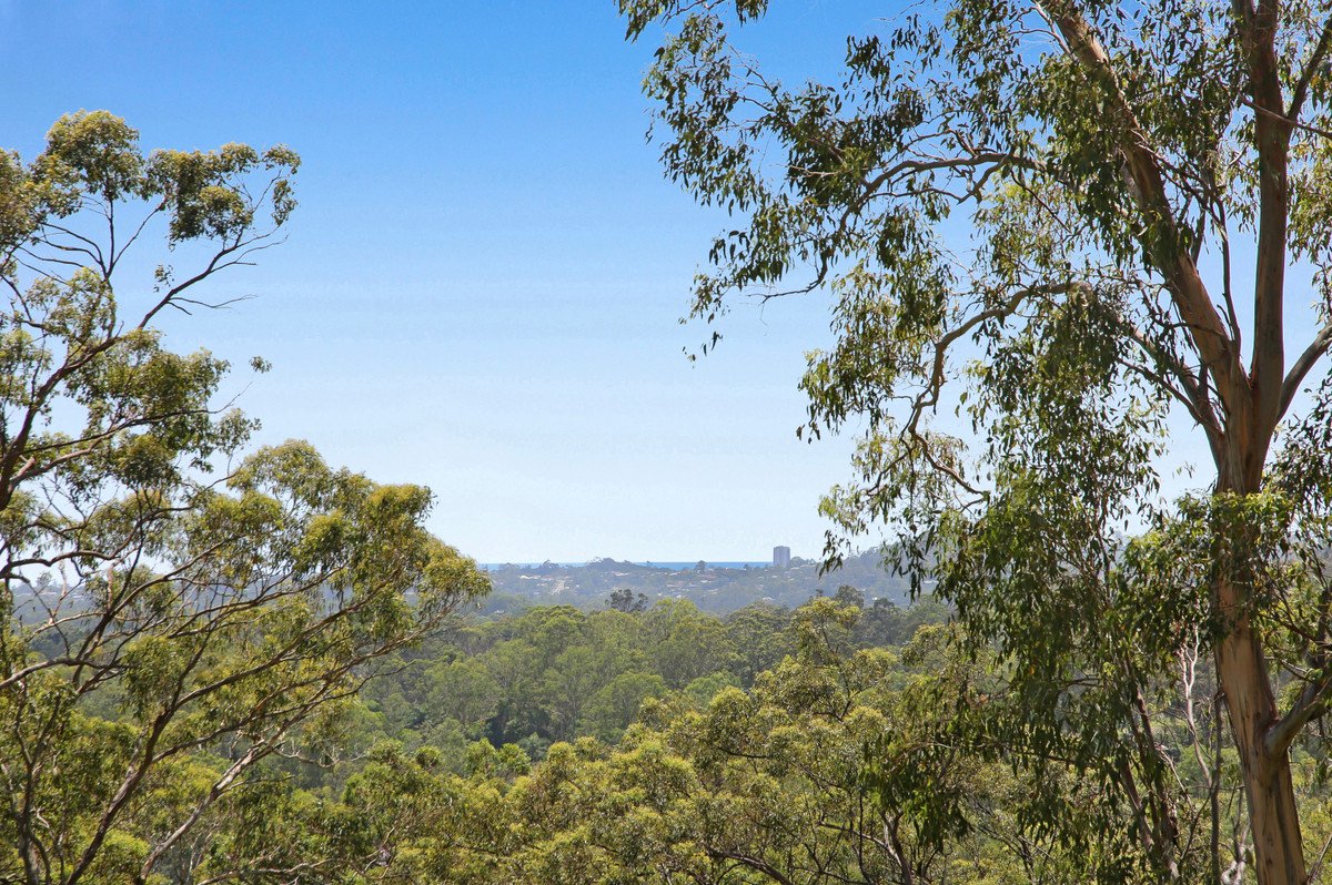 572 Tallebudgera Creek Road TALLEBUDGERA VALLEY 9