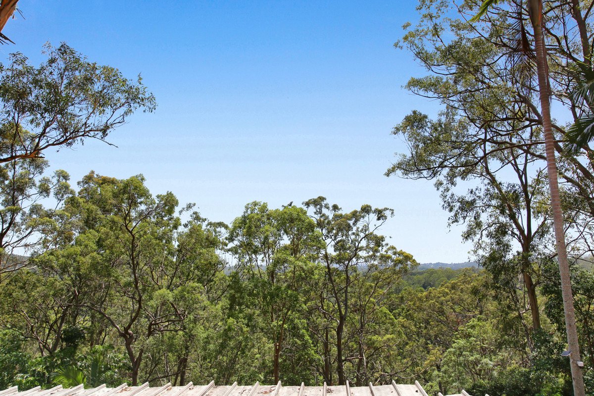 572 Tallebudgera Creek Road TALLEBUDGERA VALLEY 19