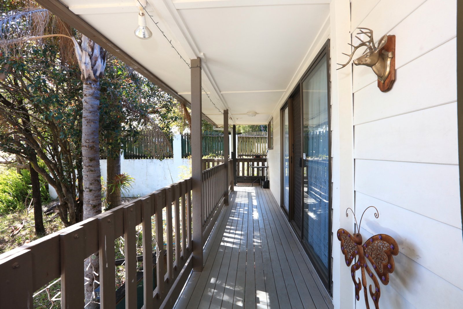 573 Ashmore Road ASHMORE 5