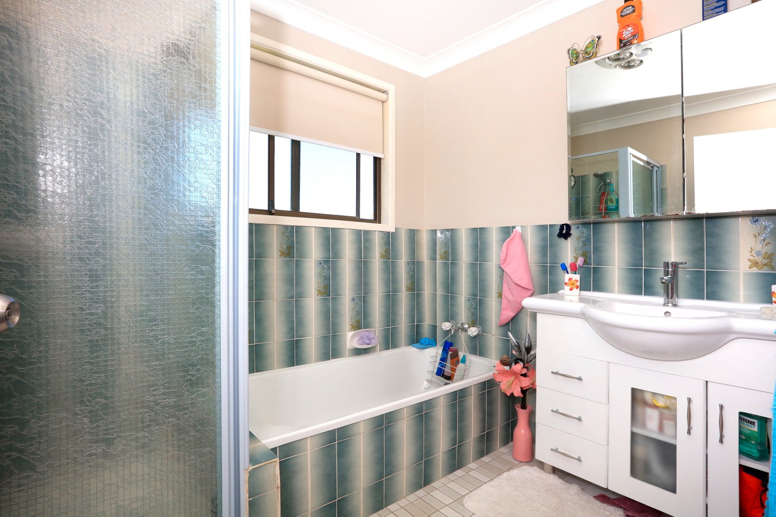 573 Ashmore Road ASHMORE 10