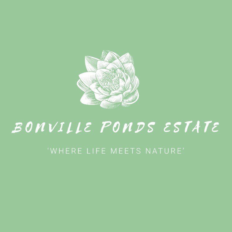 5/73 Mimiwali Drive BONVILLE 6