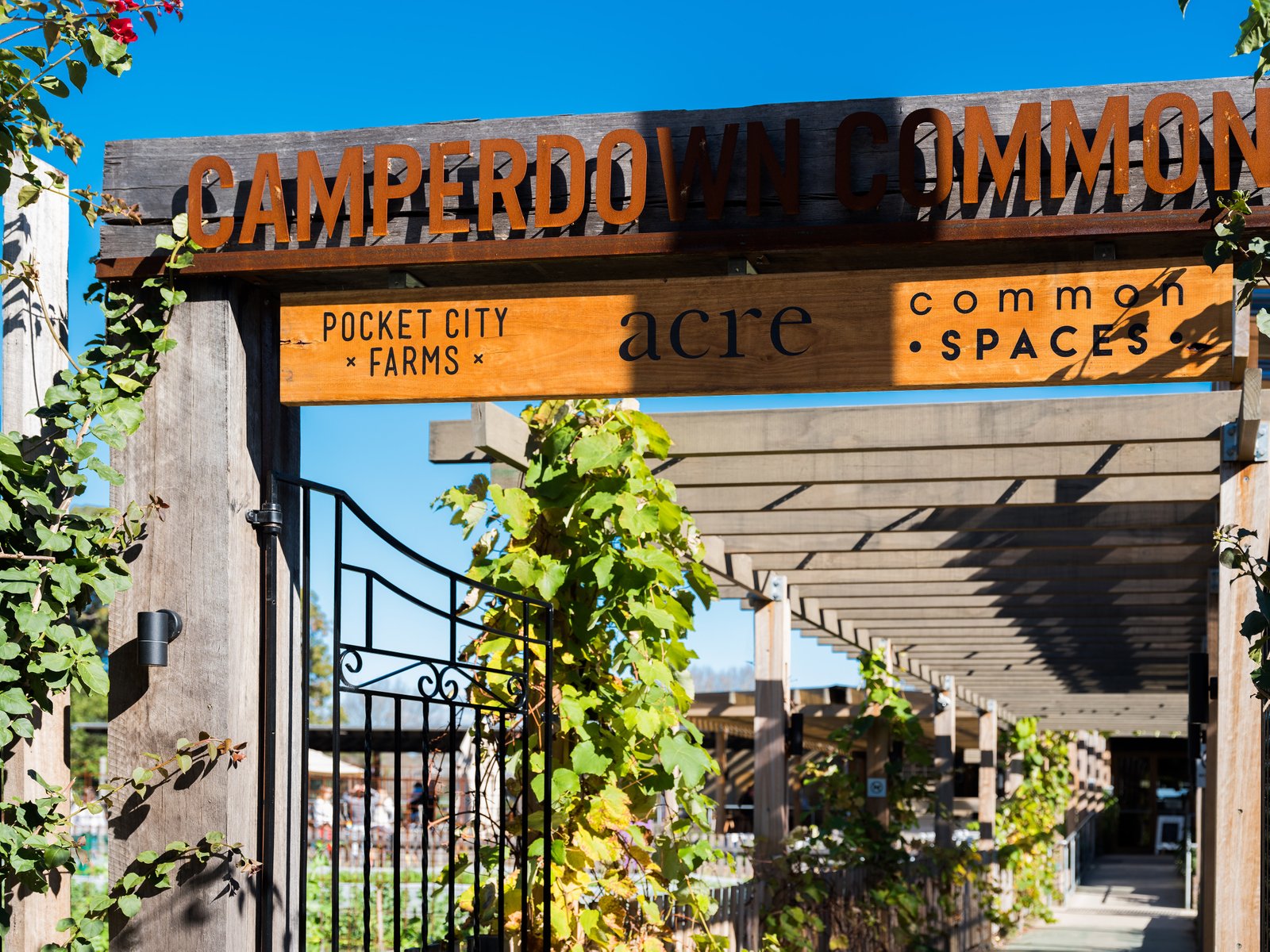 57/511 Pyrmont Bridge Road, Camperdown NSW 2050