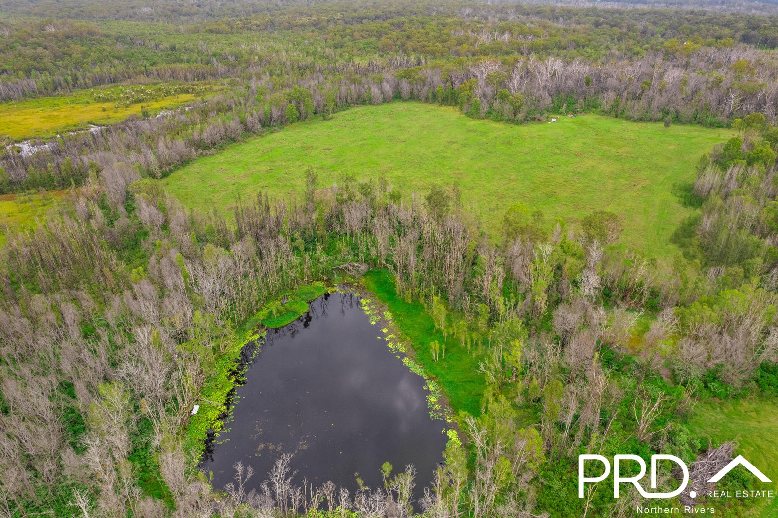 575 Myall Creek Road BORA RIDGE 19