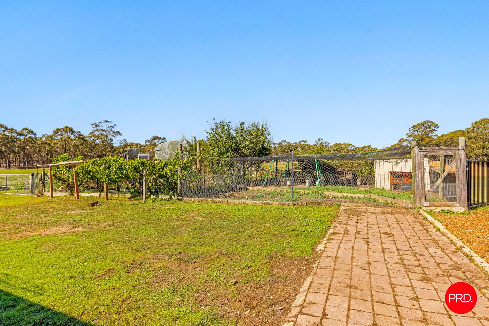 576 Tarnagulla-Laanecoorie Road LAANECOORIE 20