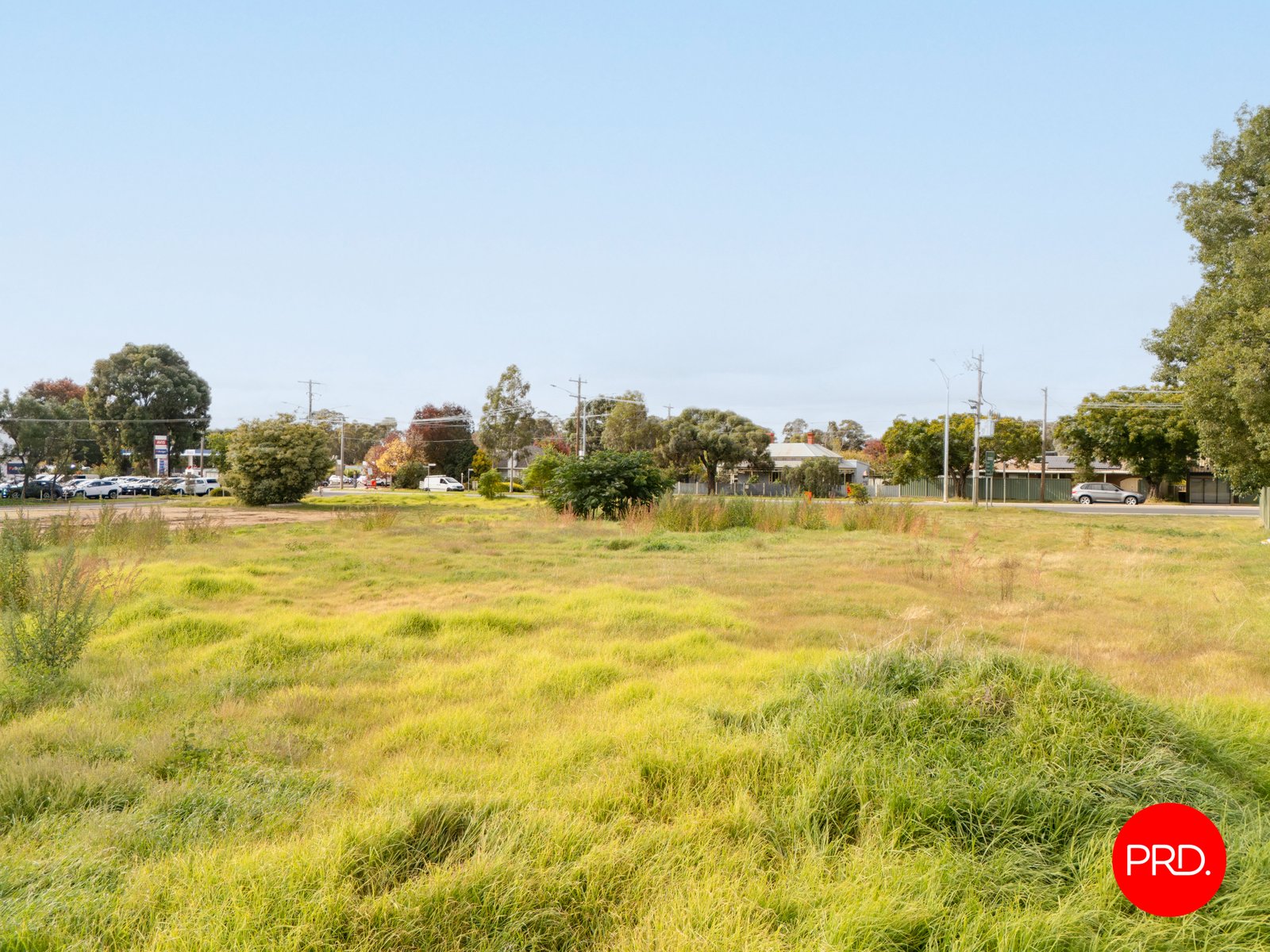 577 Napier Street WHITE HILLS 4