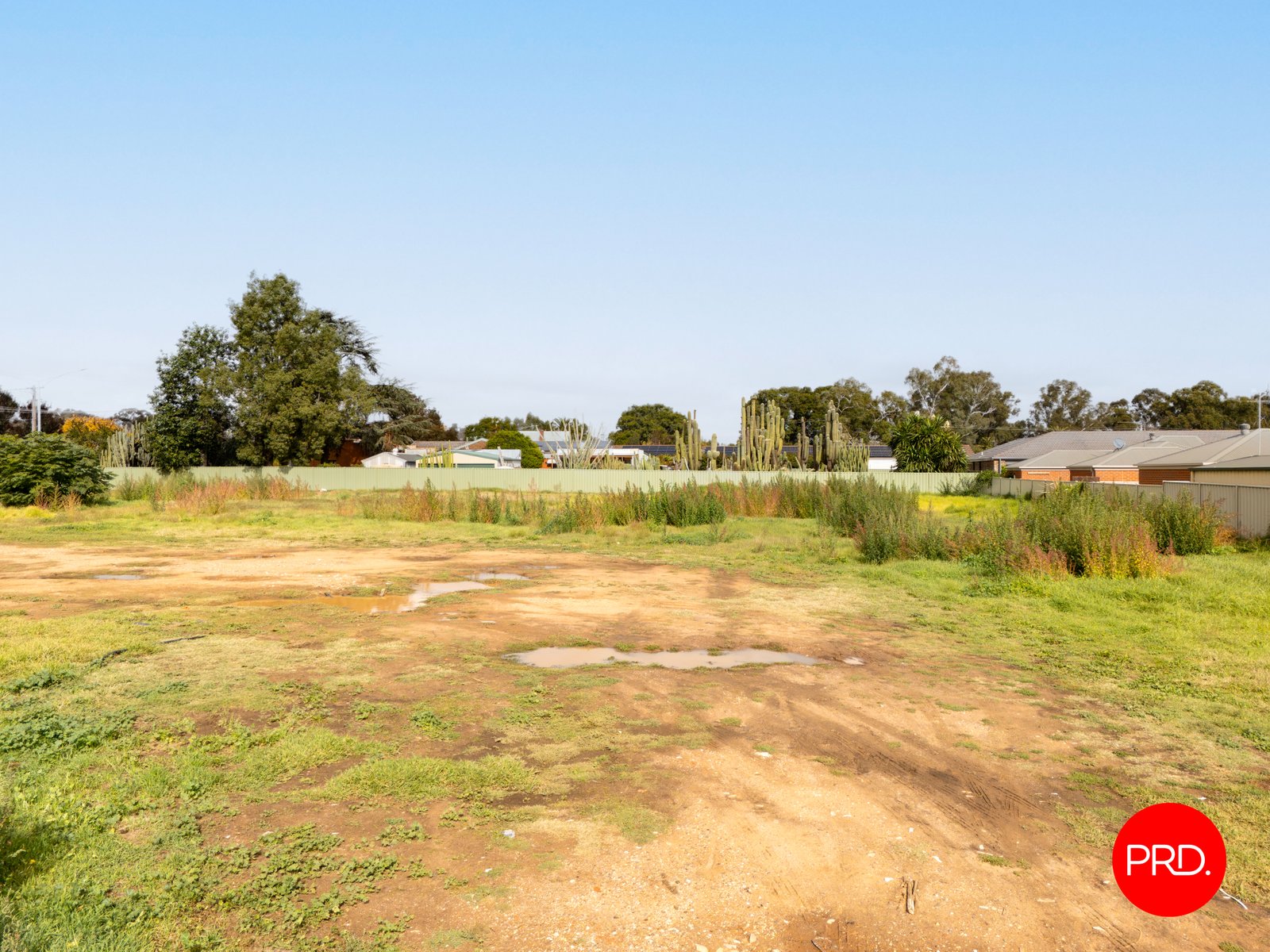 577 Napier Street WHITE HILLS 6