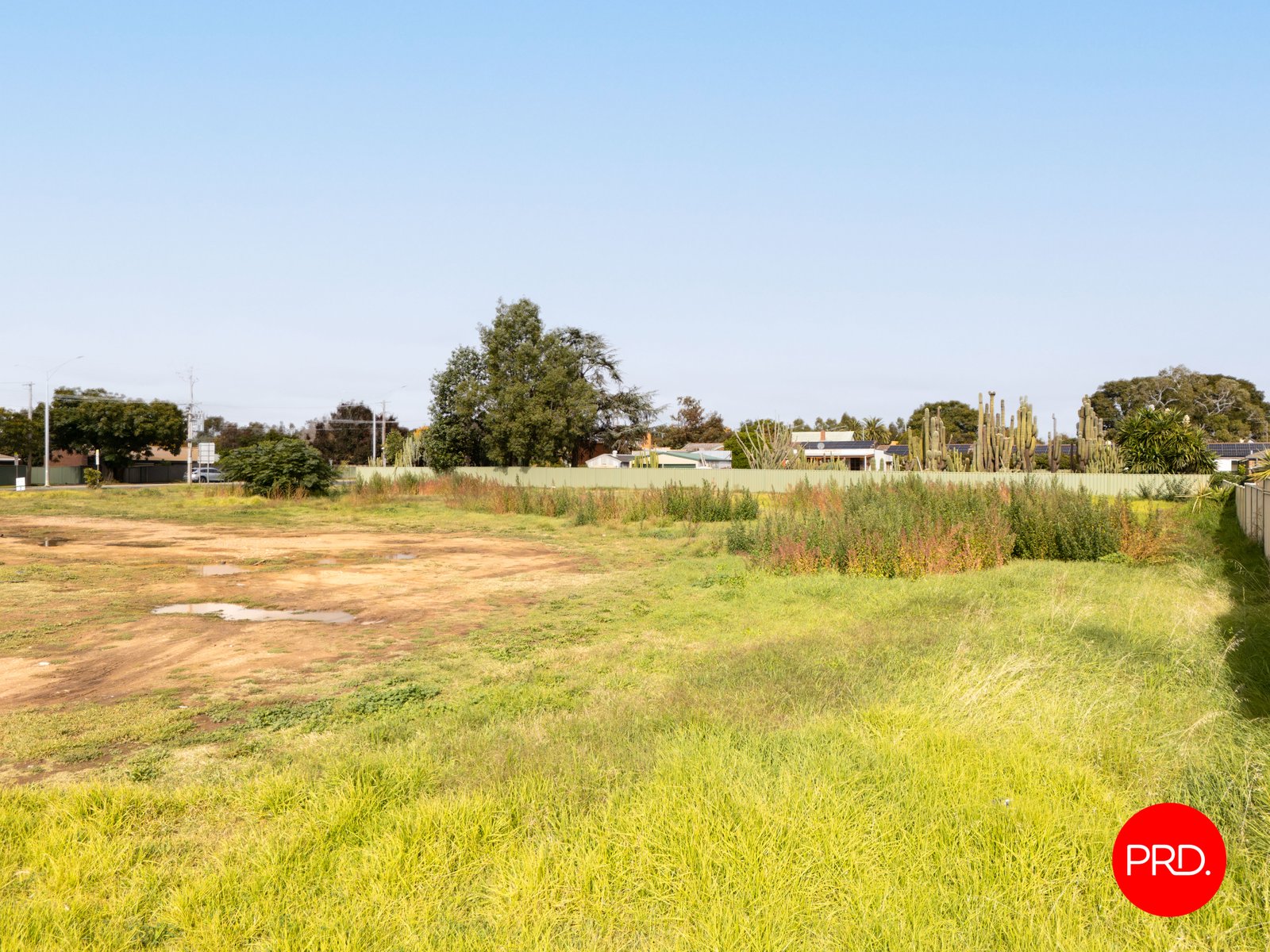 577 Napier Street WHITE HILLS 7