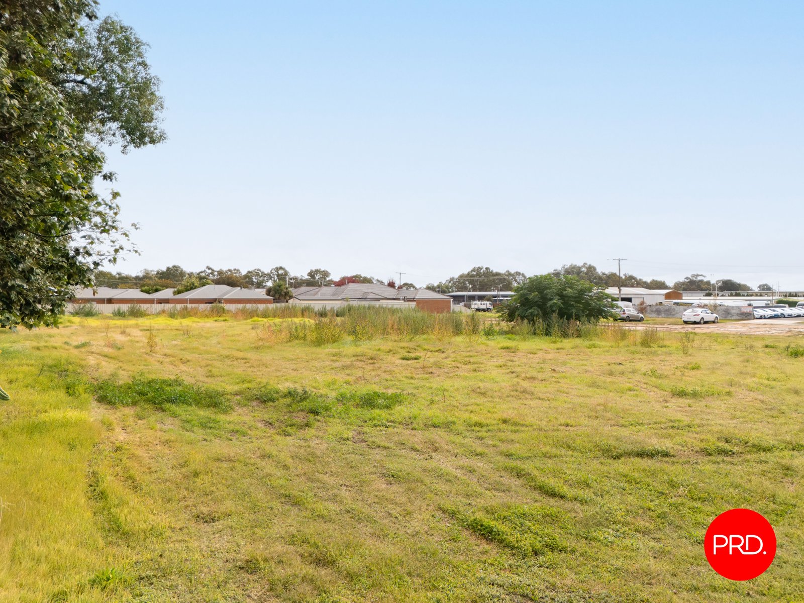 577 Napier Street WHITE HILLS 8