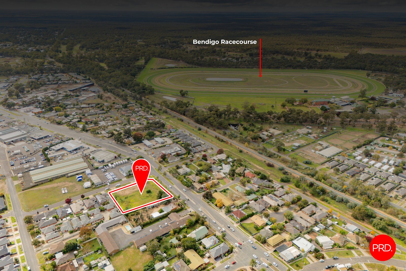 577 Napier Street WHITE HILLS 12