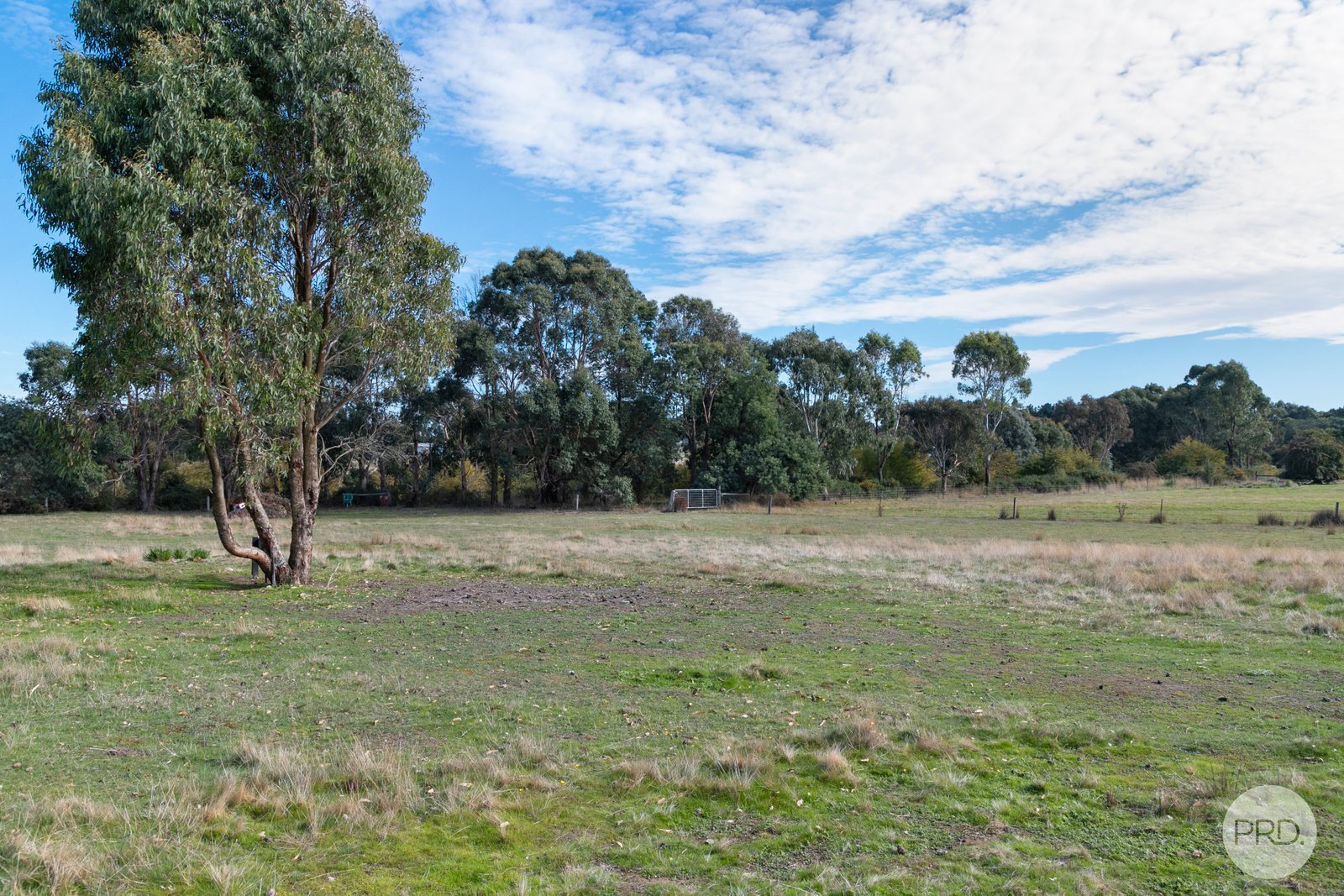 579 Ross Creek-Haddon Road HADDON 22