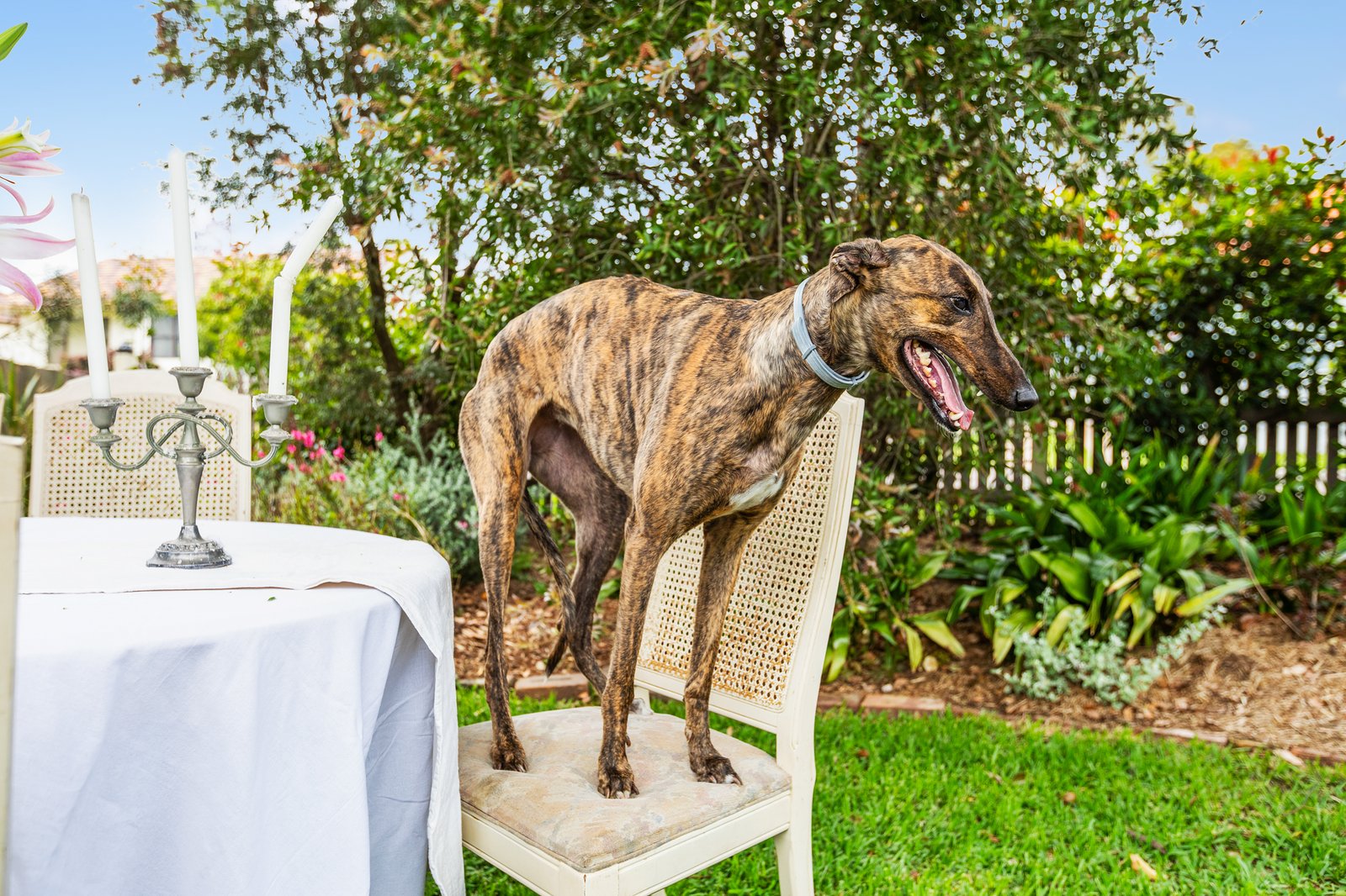 57A Burg Street EAST MAITLAND 26