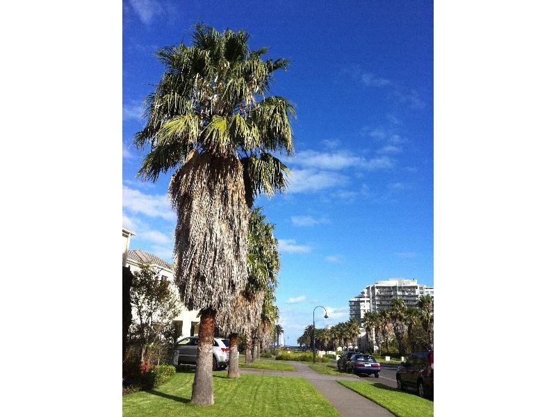 Gallery: 58 Beacon Vista