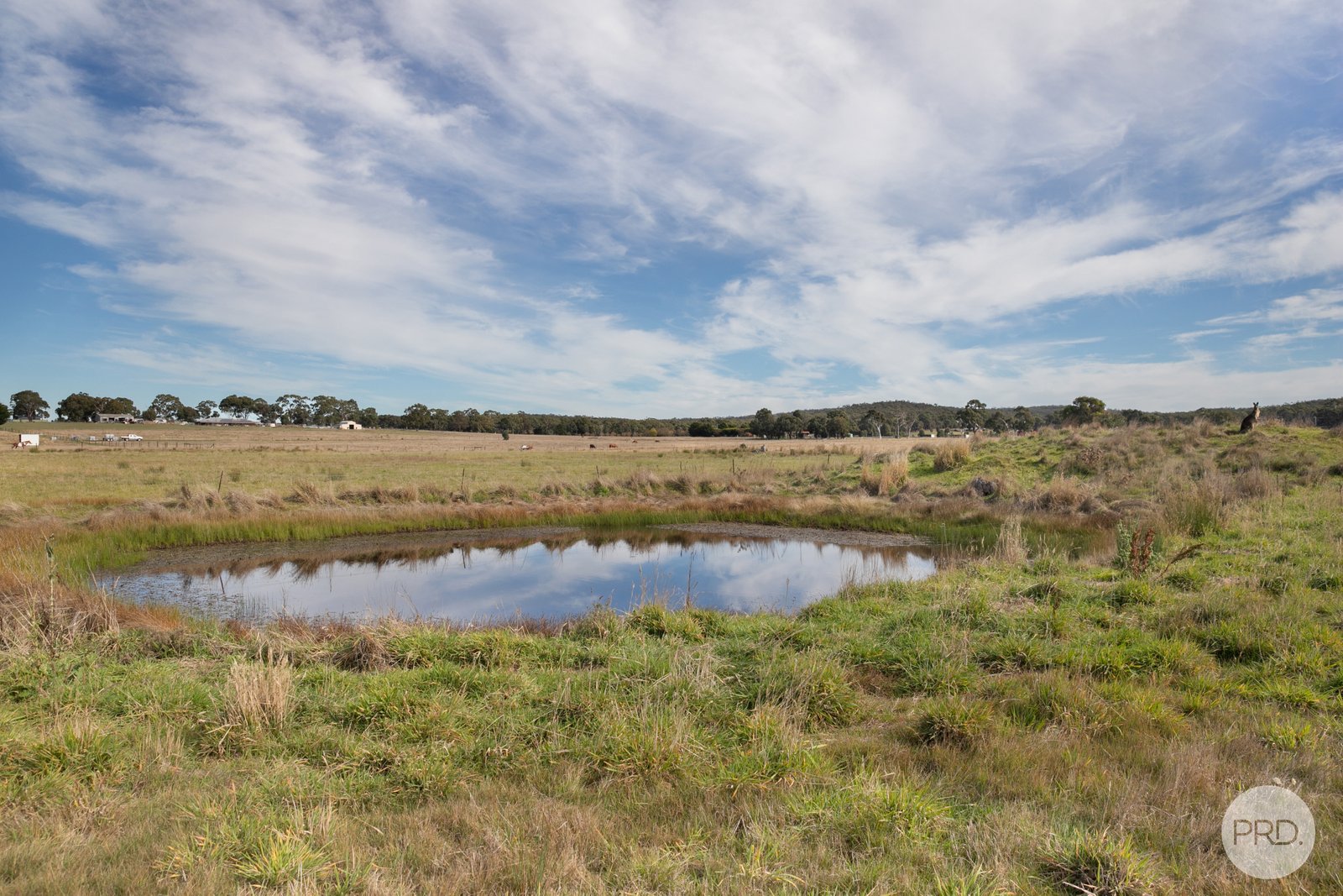 58 Church Road TRAWALLA 16