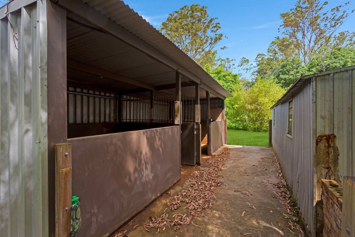 58 Coorabin Court Tallebudgera 1