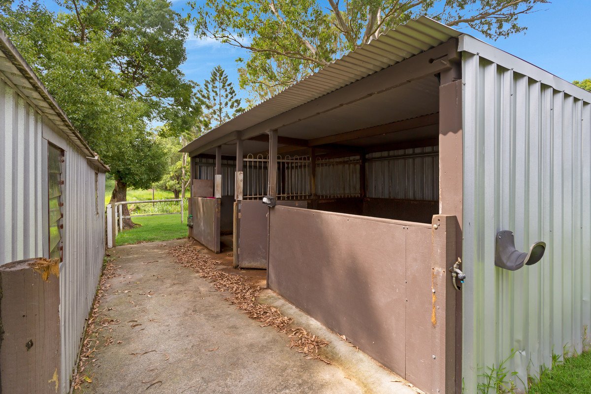 58 Coorabin Court Tallebudgera 3
