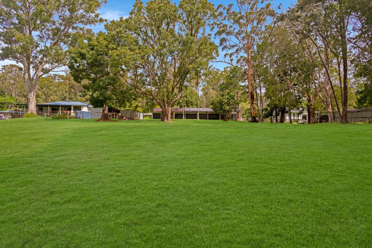 58 Coorabin Court Tallebudgera 8