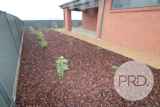 58 Daly Drive ALFREDTON 12