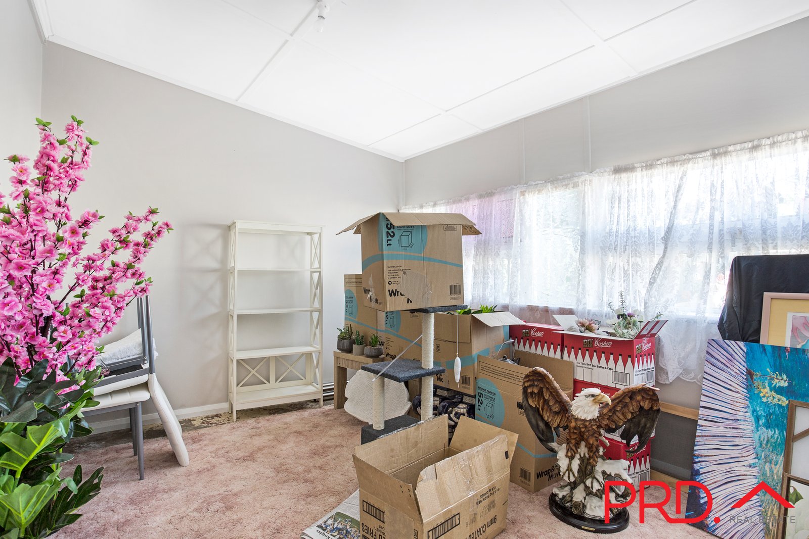 58 Denison Street TAMWORTH 12