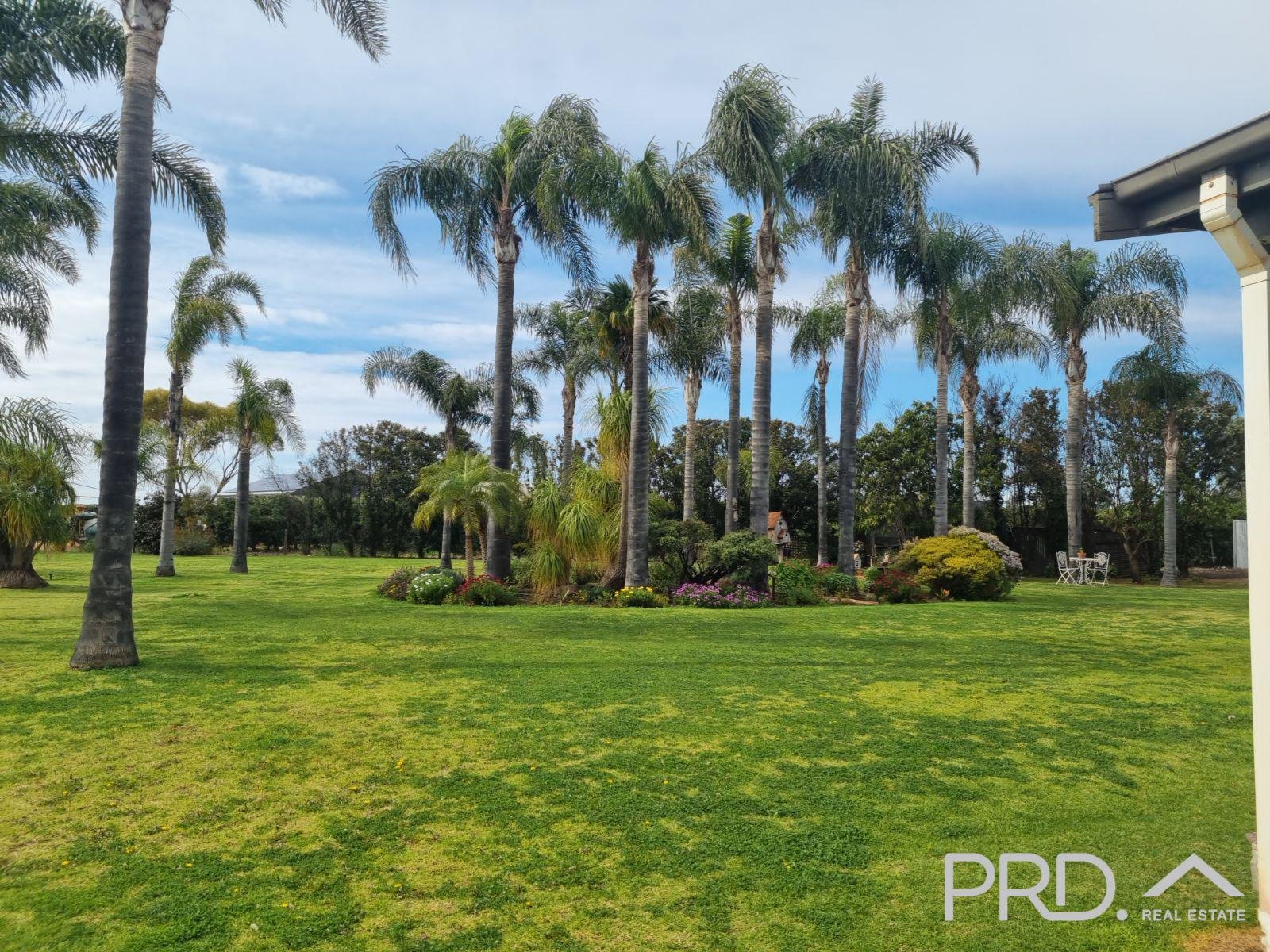 58 Hollins Road RED CLIFFS 11