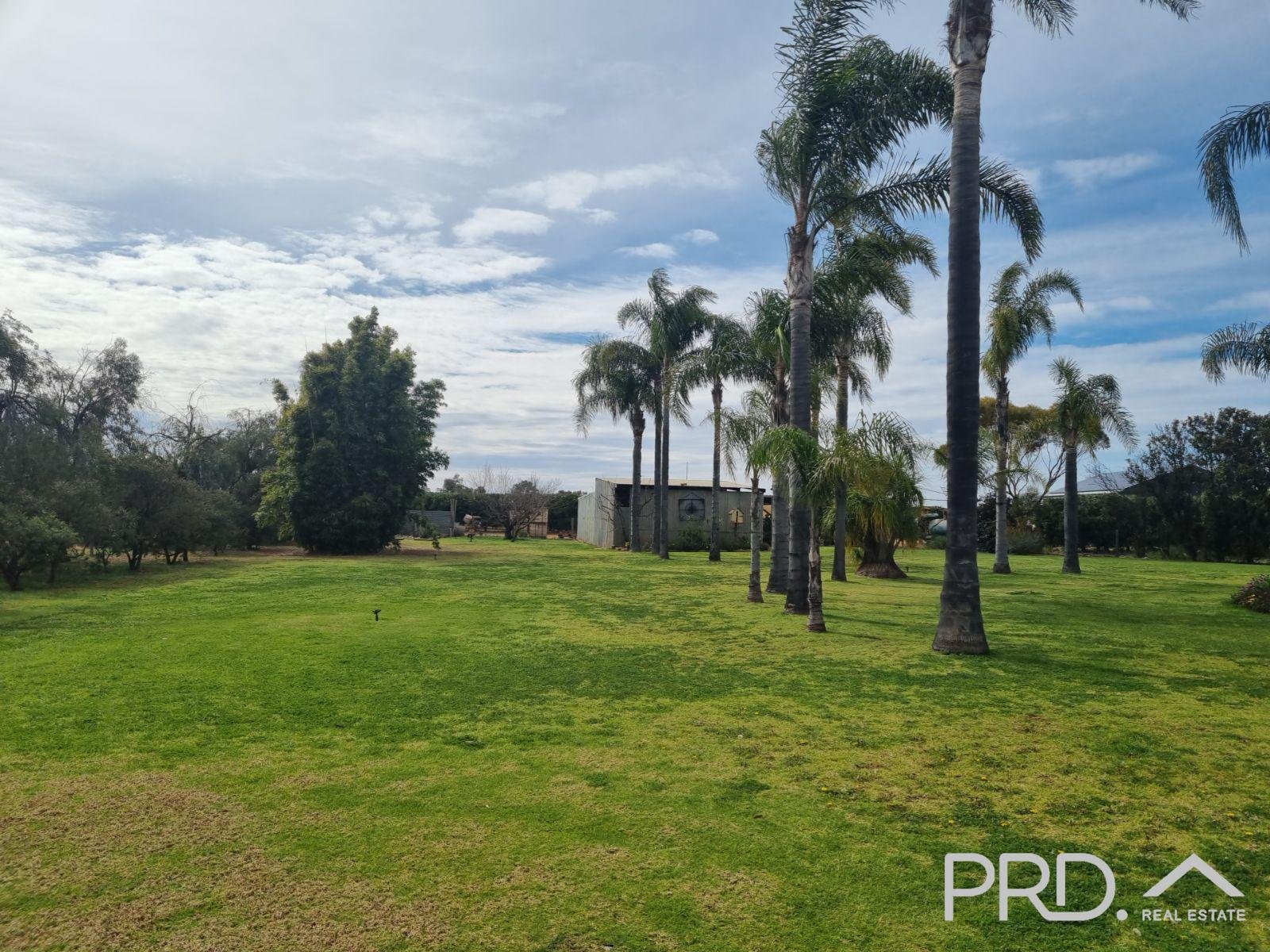 58 Hollins Road RED CLIFFS 12
