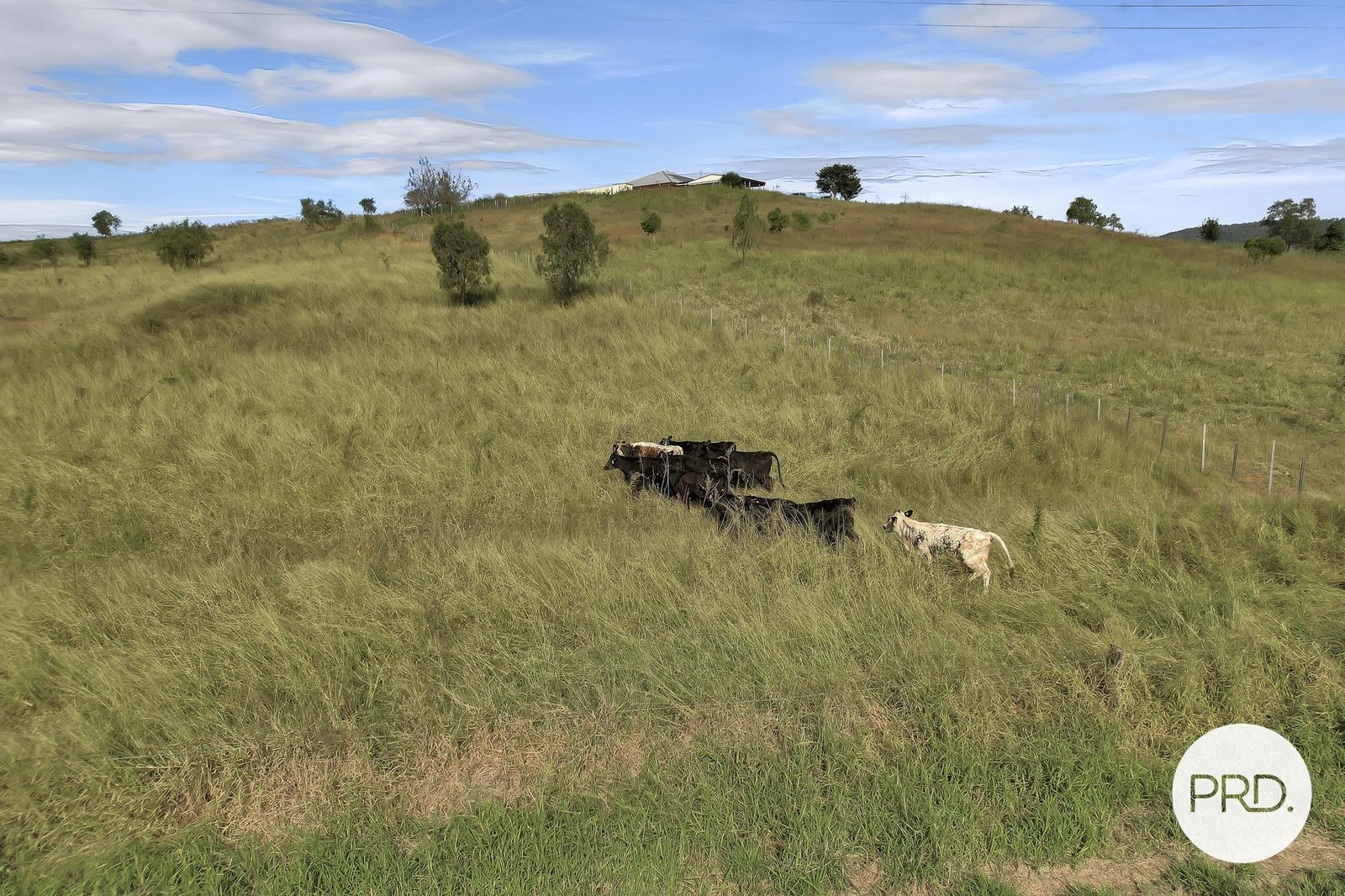 58 Krenskes Road UPPER TENTHILL 18