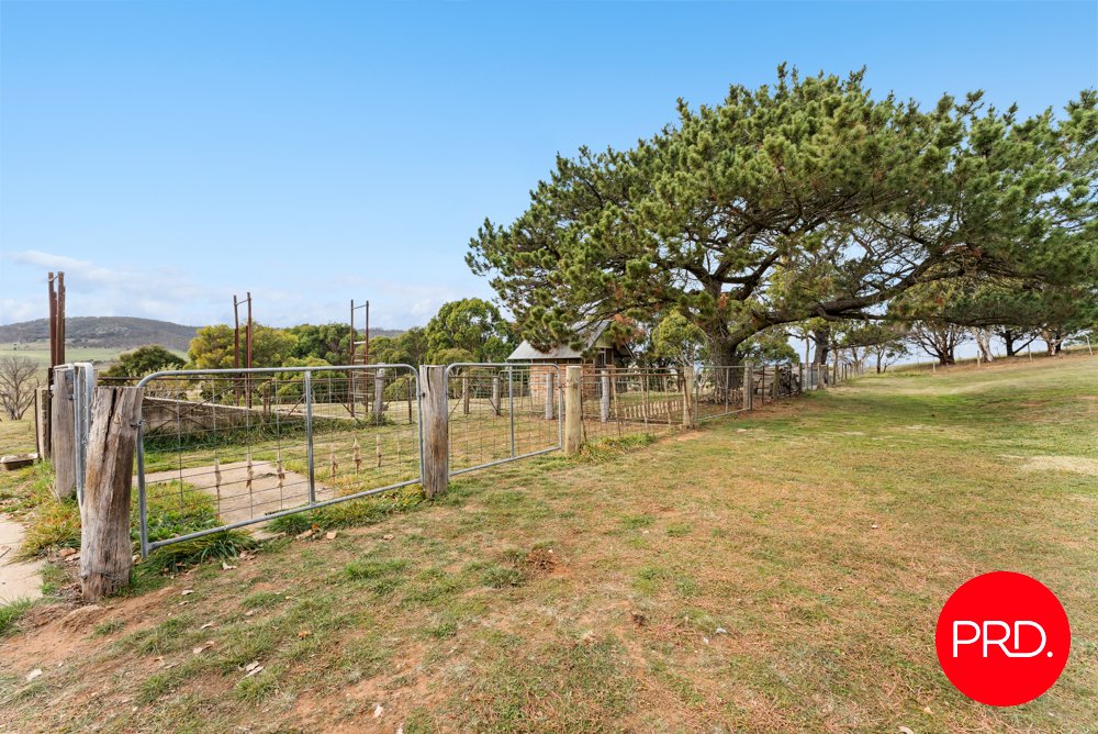 58 Mecca Lane BUNGENDORE 25