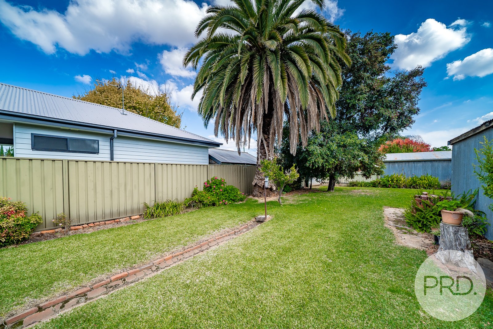 58 Murray Street WAGGA WAGGA 15
