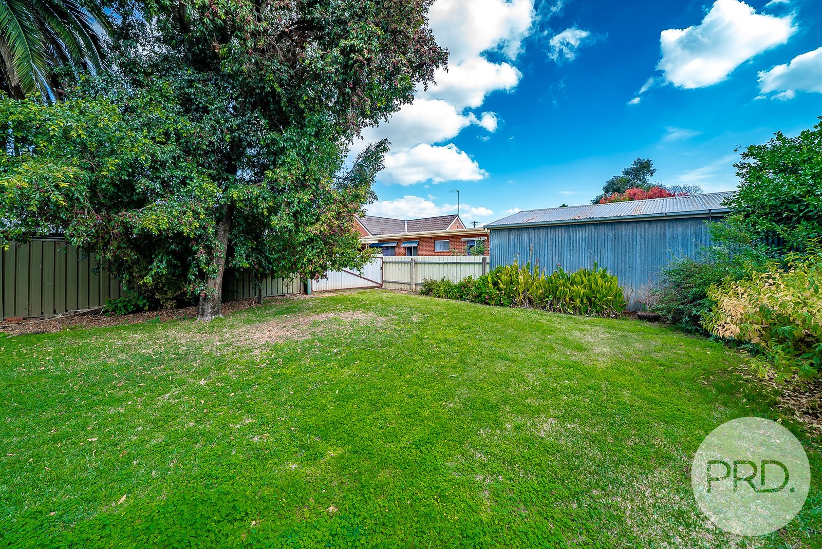 58 Murray Street WAGGA WAGGA 16