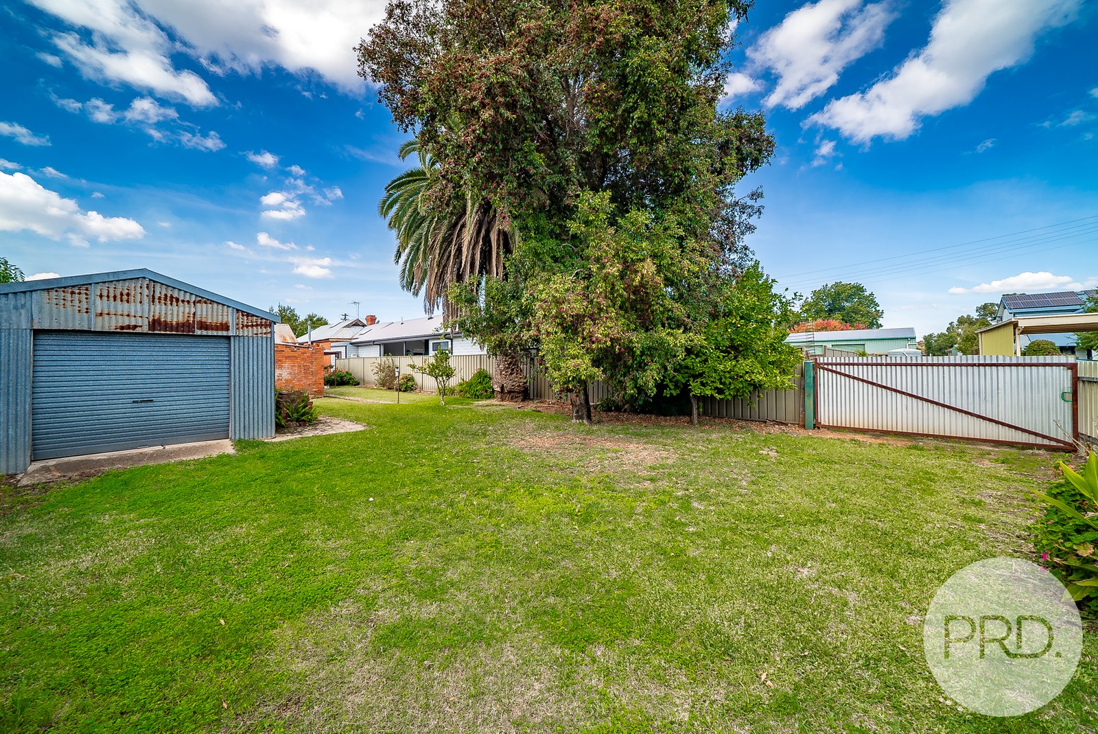 58 Murray Street WAGGA WAGGA 17