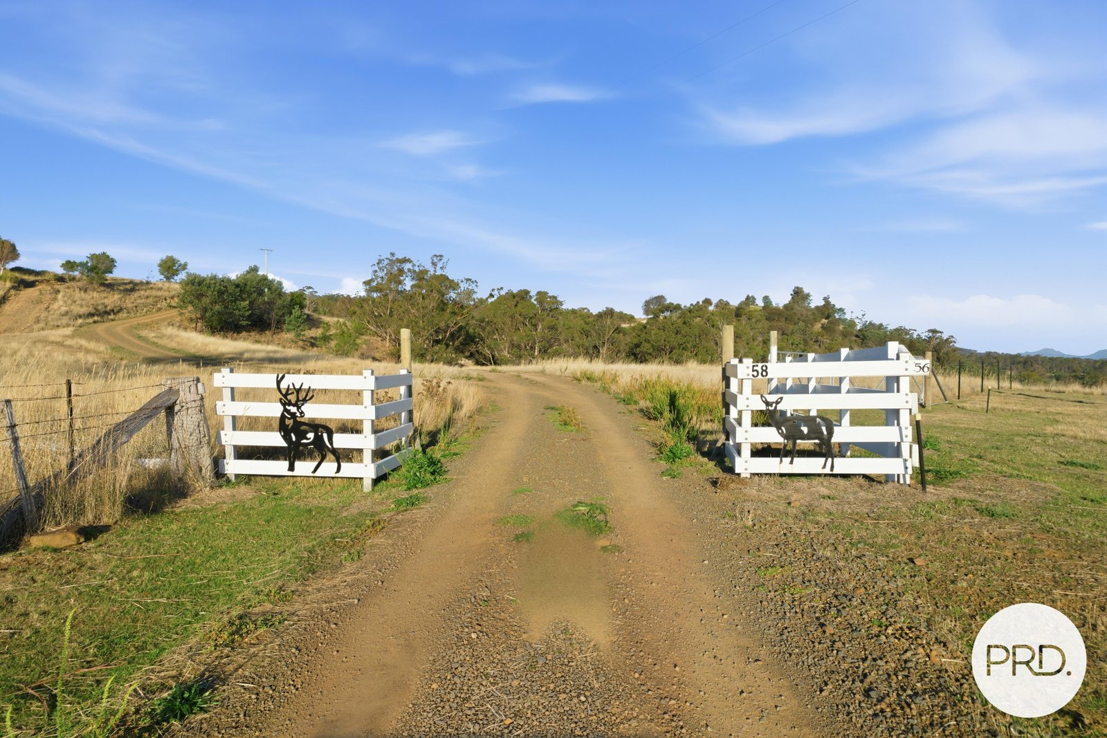 58 Parsons Road GRETNA 14