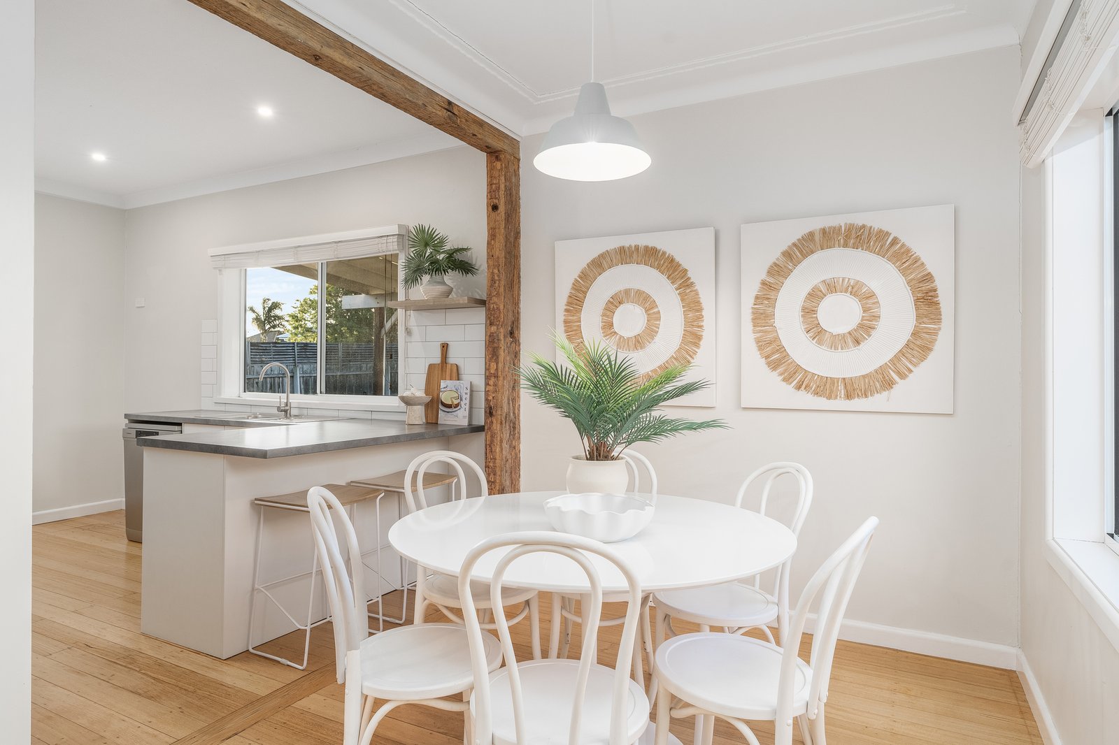 Gallery: 58 Pavo Street