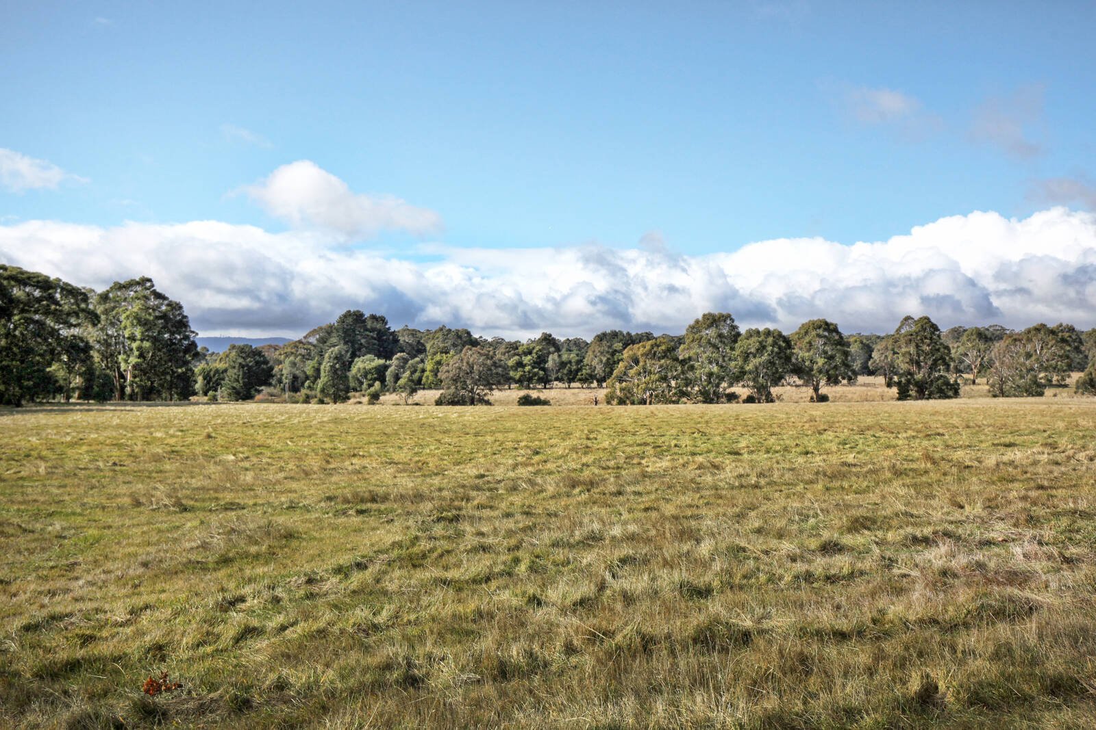 Real Estate and Property in 58 Porkers Lane, Ashbourne, VIC