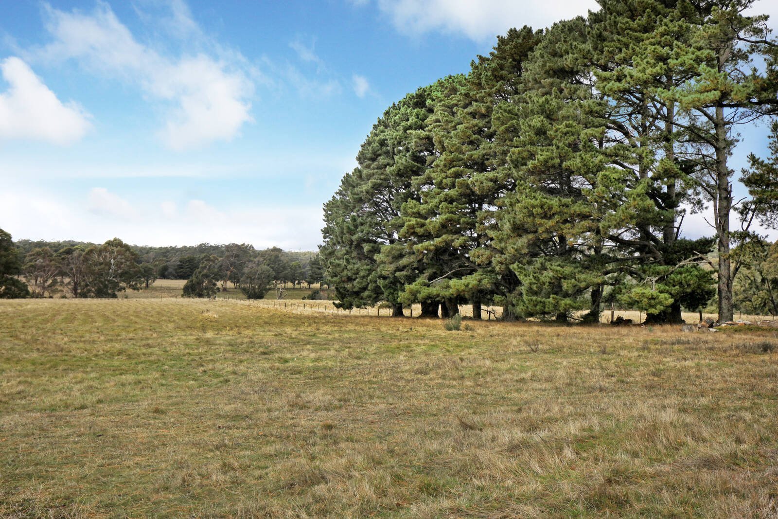 Real Estate and Property in 58 Porkers Lane, Ashbourne, VIC