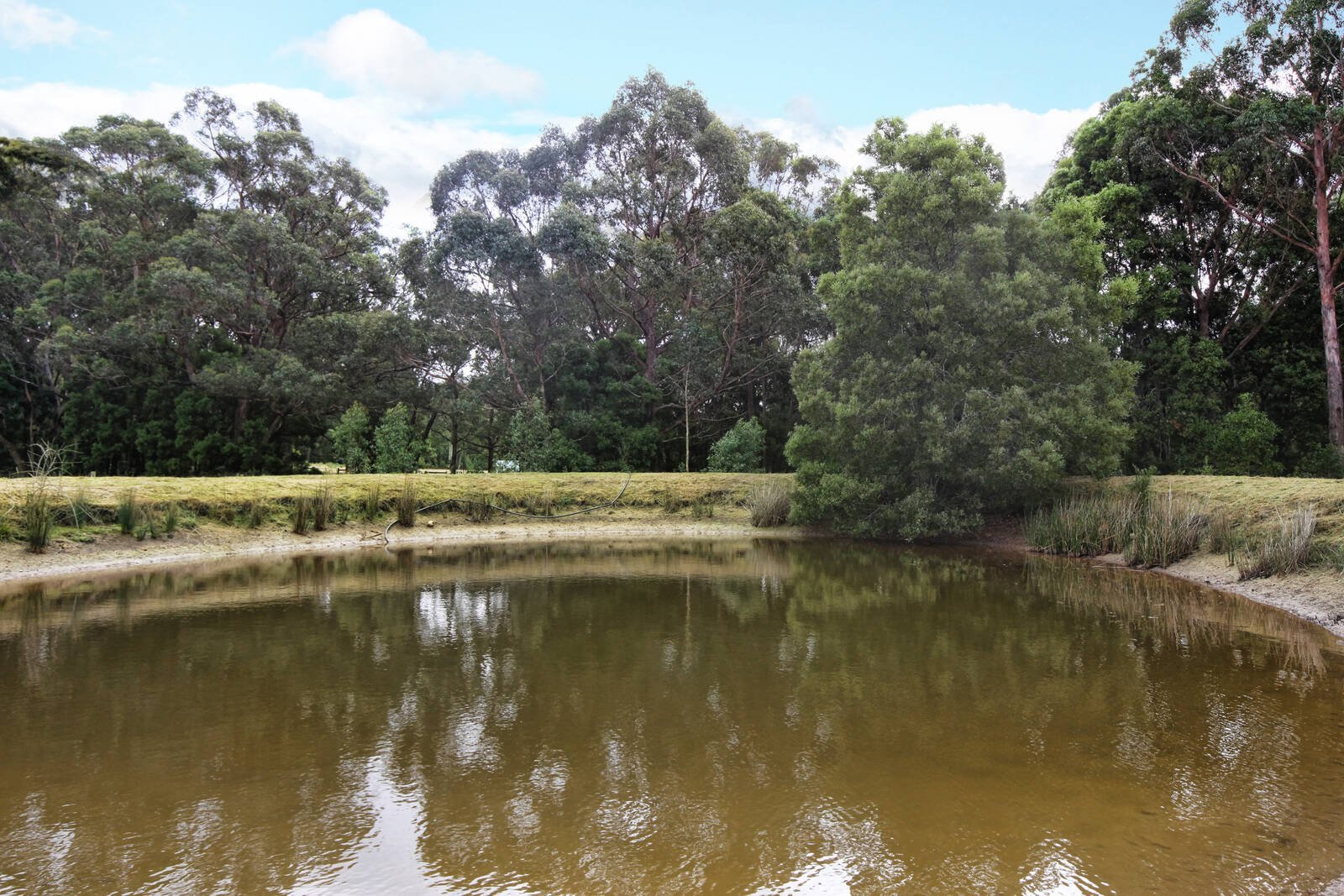 Real Estate and Property in 58 Porkers Lane, Ashbourne, VIC