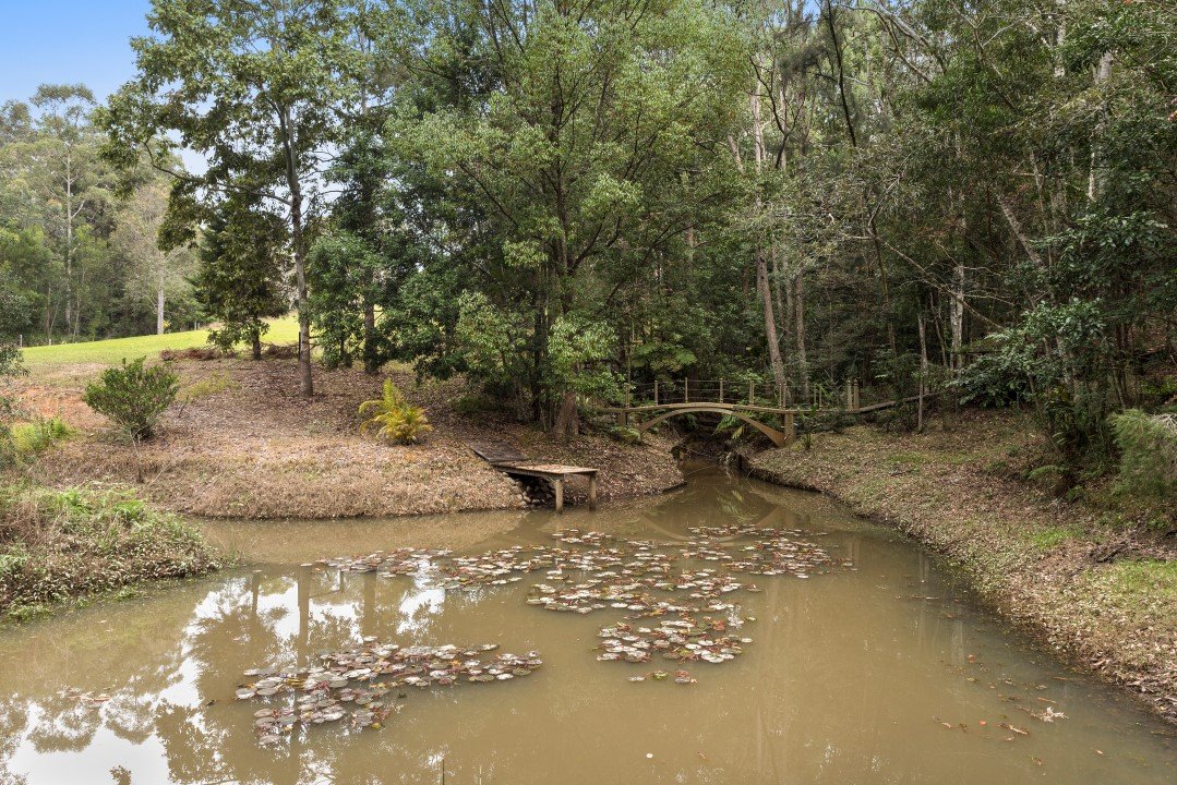 58 Sunset Ridge Drive BELLINGEN 5
