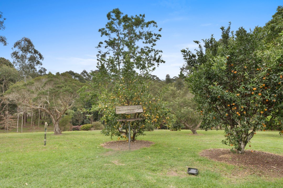 58 Sunset Ridge Drive BELLINGEN 21