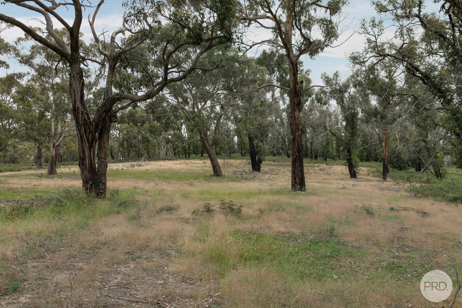 58 Swanson Road DEREEL 12